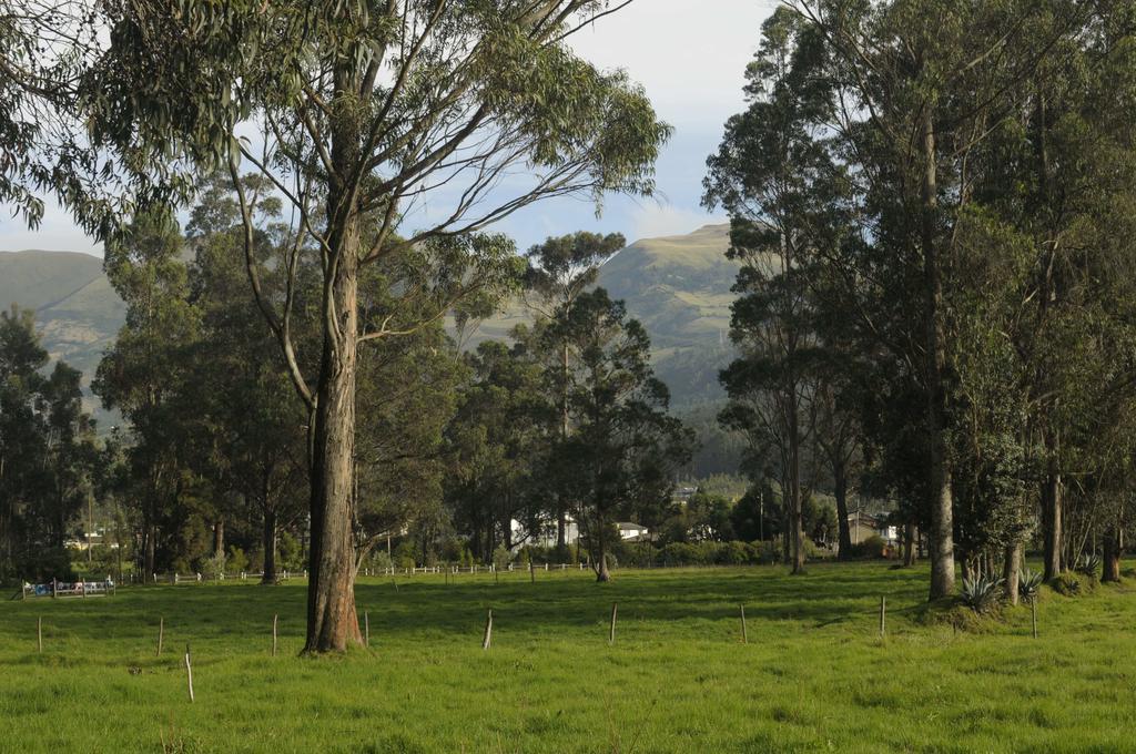 Molino San Juan Panzió Cayambe Kültér fotó