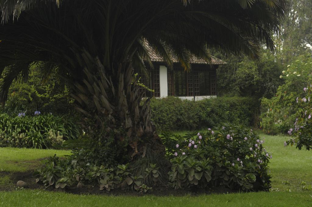 Molino San Juan Panzió Cayambe Kültér fotó