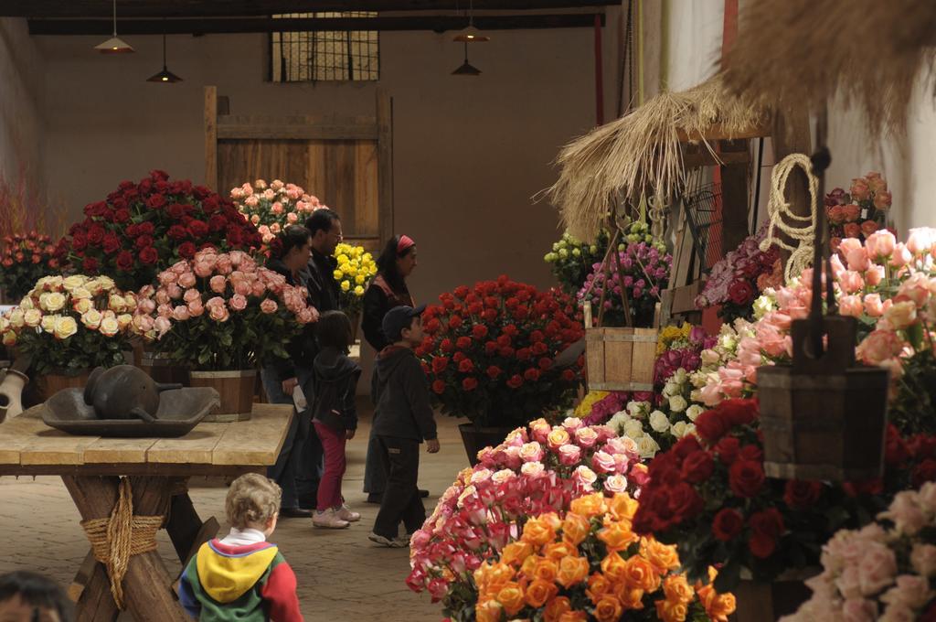 Molino San Juan Panzió Cayambe Kültér fotó