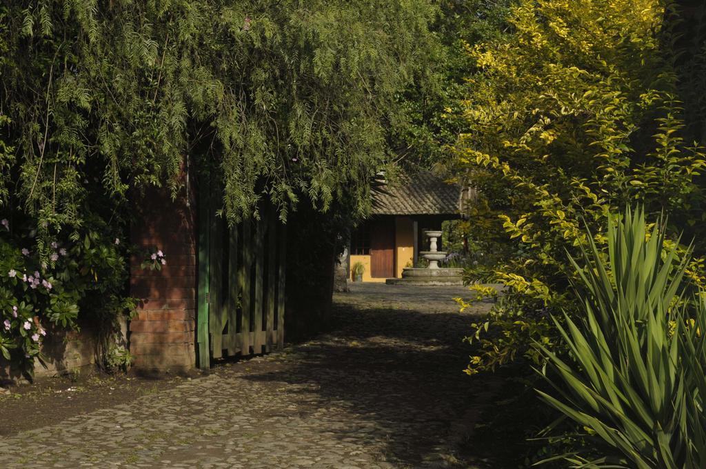 Molino San Juan Panzió Cayambe Kültér fotó