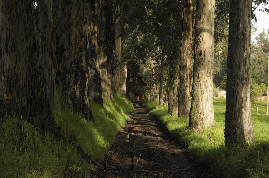 Molino San Juan Panzió Cayambe Kültér fotó